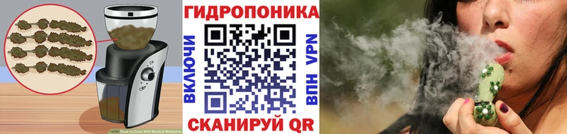 Купить  Облучье  Canna-Cookies марихуана 