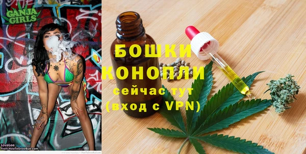 гидра Переславль-Залесский
