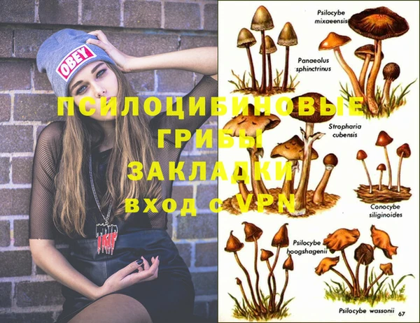 гашик Остров