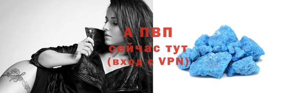 шишки Пестово