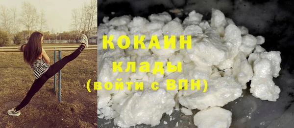 шишки Пестово