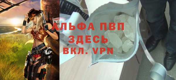 шишки Пестово