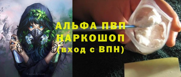 шишки Пестово